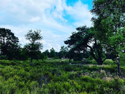 Wandelvierdaagse Otterlo