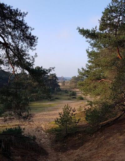 dauwtrappen Otterlo 2023