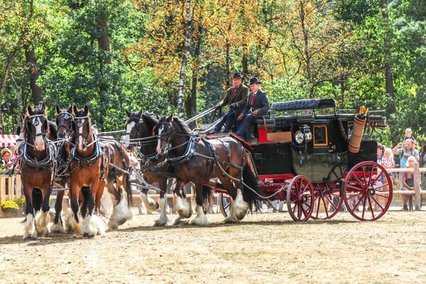 Weekend van het Paard Park De Hoge Veluwe